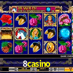 Descubra a Essência do 8casino: Nossa História e Compromissos